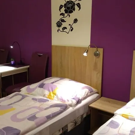 Pensión - Smetanka 3*