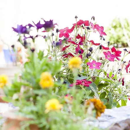 Pensión - Smetanka Ceske Budejovice