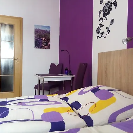 Guest house Apartmany - Penzion Smetanka 3*