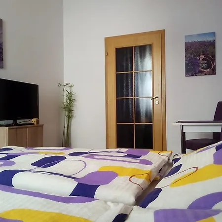 Guest house Apartmany - Penzion Smetanka Ceske Budejovice