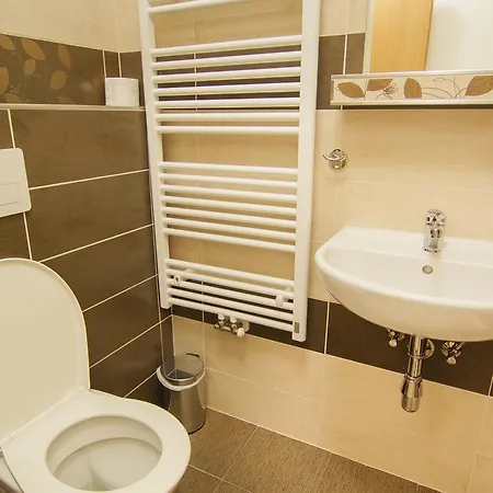 Guest house Apartmany - Penzion Smetanka Ceske Budejovice