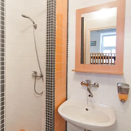 Guest house Apartmany - Penzion Smetanka Ceske Budejovice