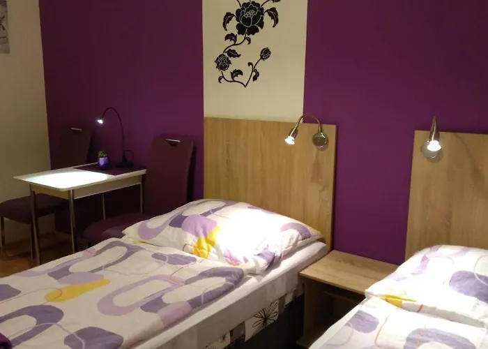 게스트하우스 - Smetanka 3*