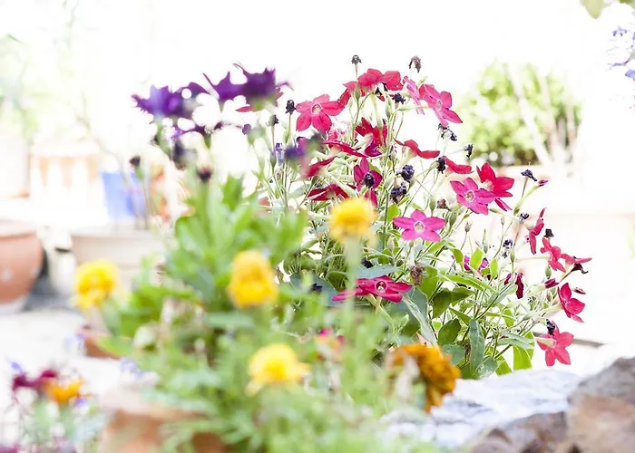 게스트하우스 - Smetanka 체스케부데요비체