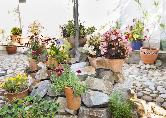 - Smetanka 게스트하우스 체스케부데요비체