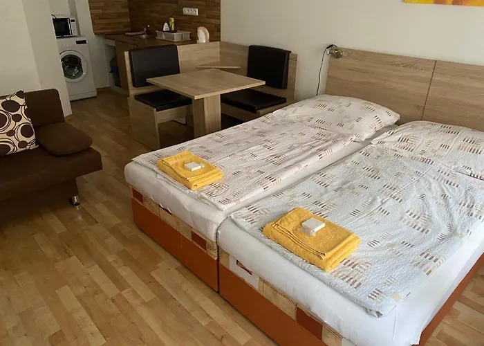 게스트하우스 - Smetanka 체스케부데요비체