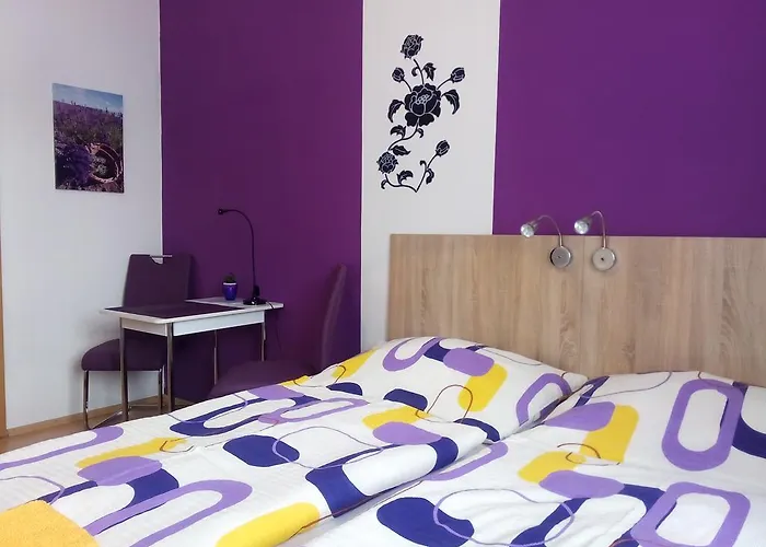 - Smetanka 게스트하우스 3*