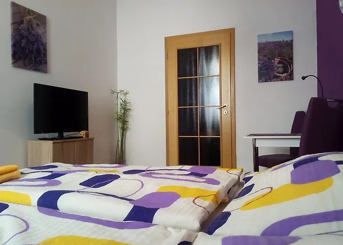 게스트하우스 - Smetanka 체스케부데요비체