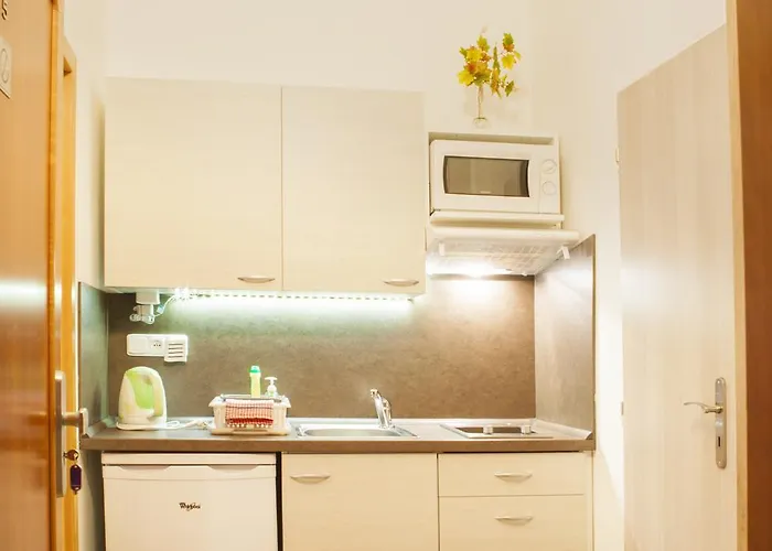 게스트하우스 - Smetanka 체스케부데요비체