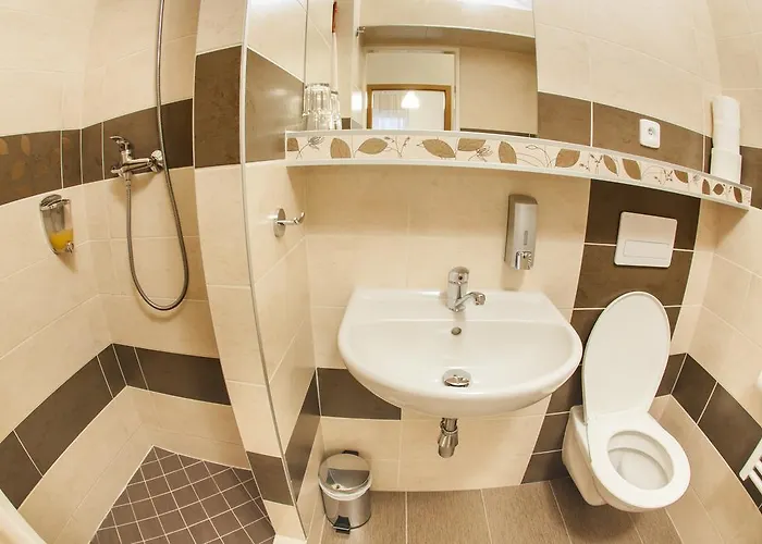 게스트하우스 - Smetanka 체스케부데요비체