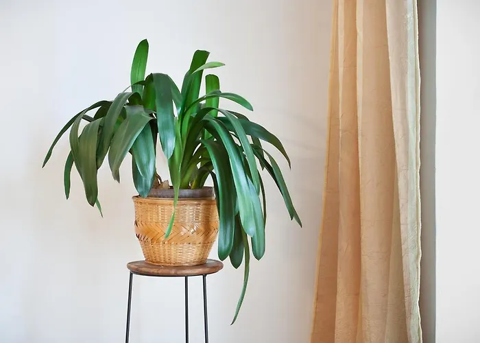 - Smetanka 게스트하우스