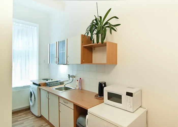 - Smetanka 3* 체스케부데요비체