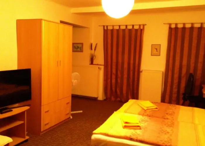 - Smetanka 捷克布杰约维采